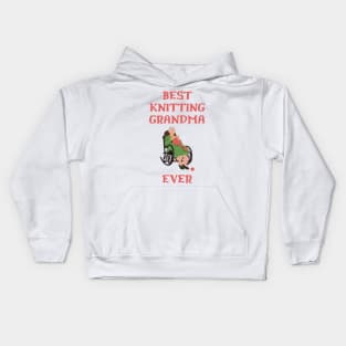 Best Knitting Grandma Ever Kids Hoodie